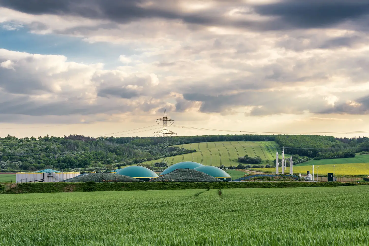 La bioénergie, une énergie renouvelable locale et circulaire